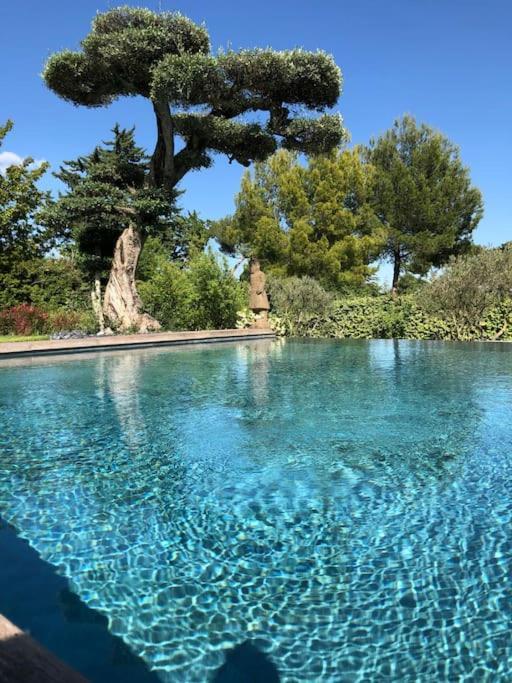 Bastide Languedocienne De Standing - Pezenas Le Clos De L'Amandier Exteriör bild